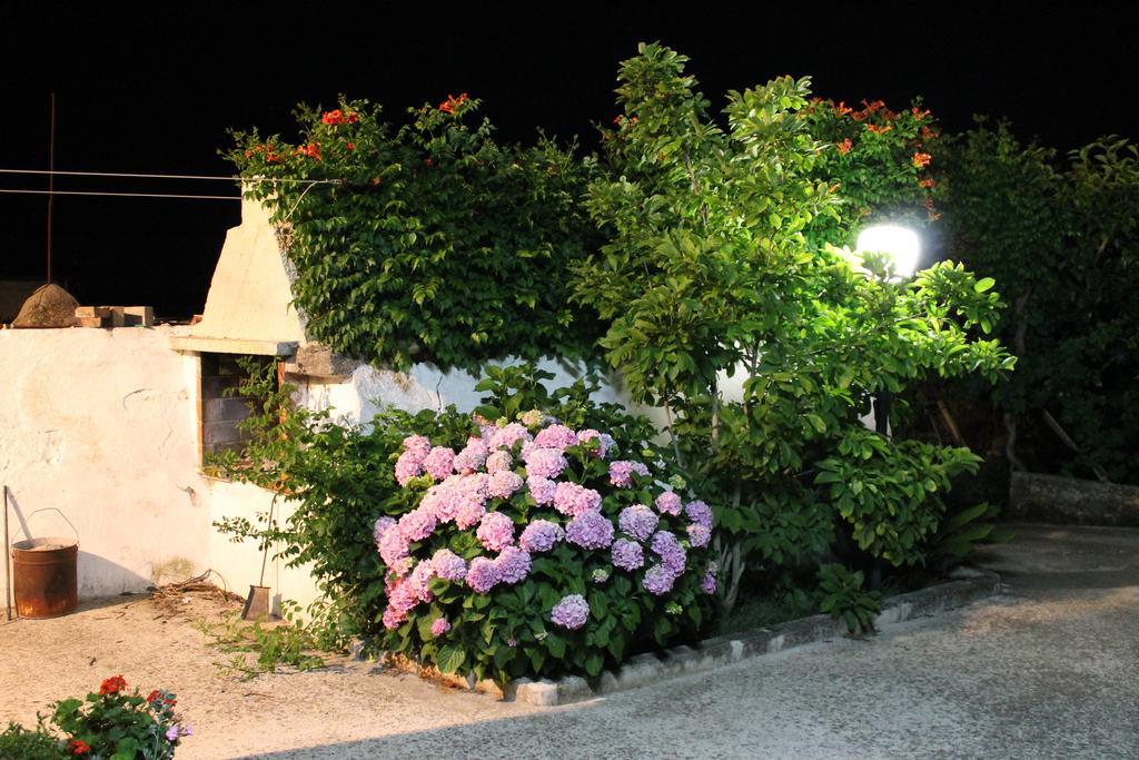 La Casa Del Nonno Bed & Breakfast Alberobello Luaran gambar